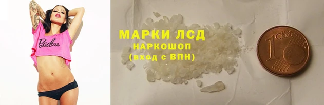ГАЛЛЮЦИНОГЕННЫЕ ГРИБЫ Гатчина