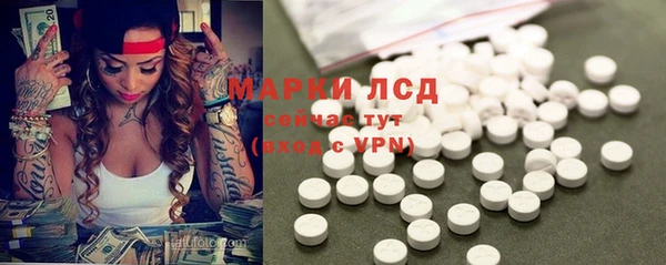 ГАЛЛЮЦИНОГЕННЫЕ ГРИБЫ Гатчина